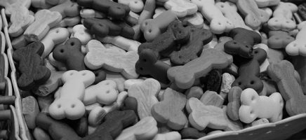 Nourriture pour animaux (TA)
